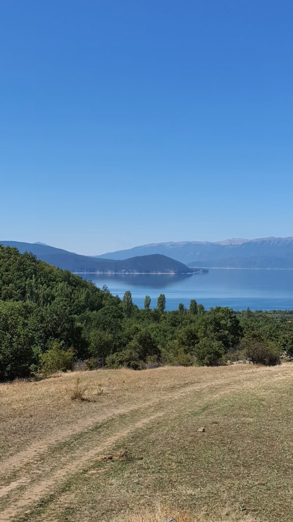 meadow forest and prespa lake