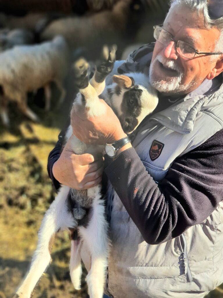 man hugging lamb