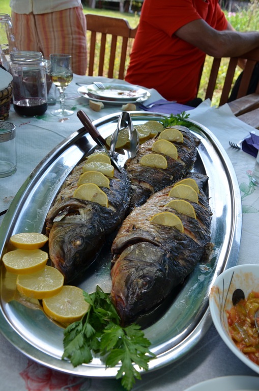 grilled fish with garnish