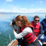 couple riding in a small motor boat on prespa lake